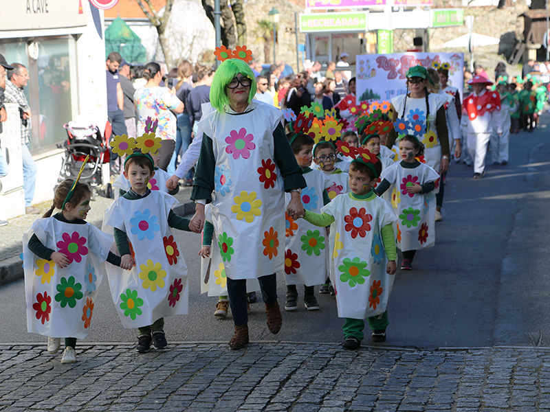 Alunos das Escolas de Boticas saram  rua para festejar o Carnaval
