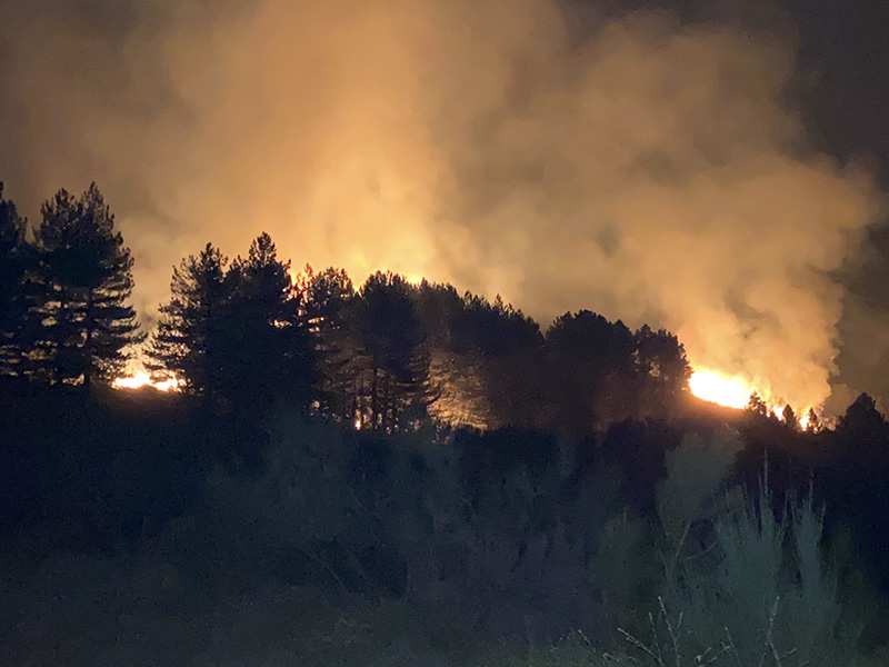 Autarquia preocupada com vaga de incndios florestais no Concelho